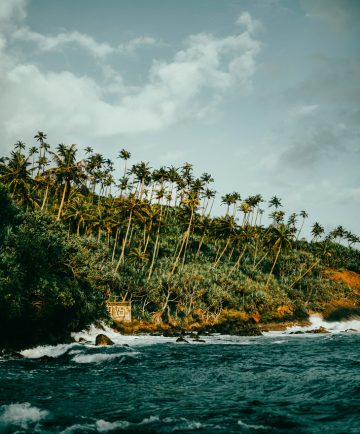 Untitled design (74)